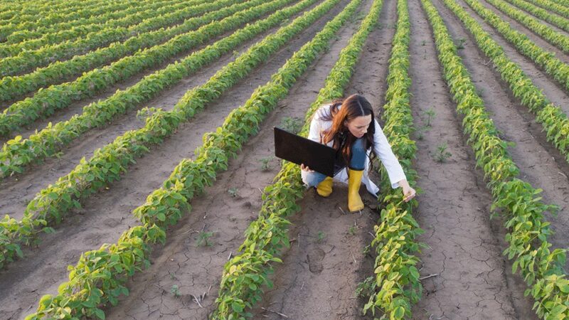 Connectivity underpins the growth and success of Australian AgriTech