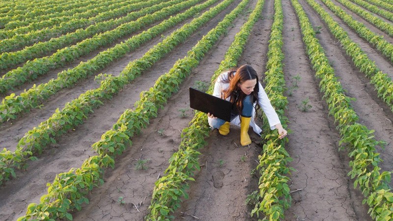 Connectivity underpins the growth and success of Australian AgriTech