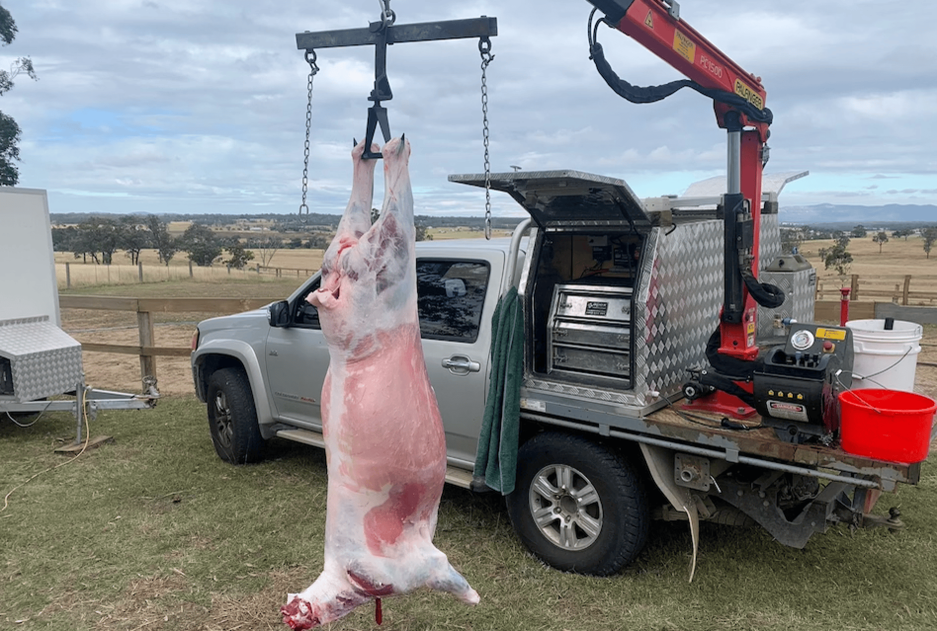 The mobile butcher From paddock to produce and then to plate