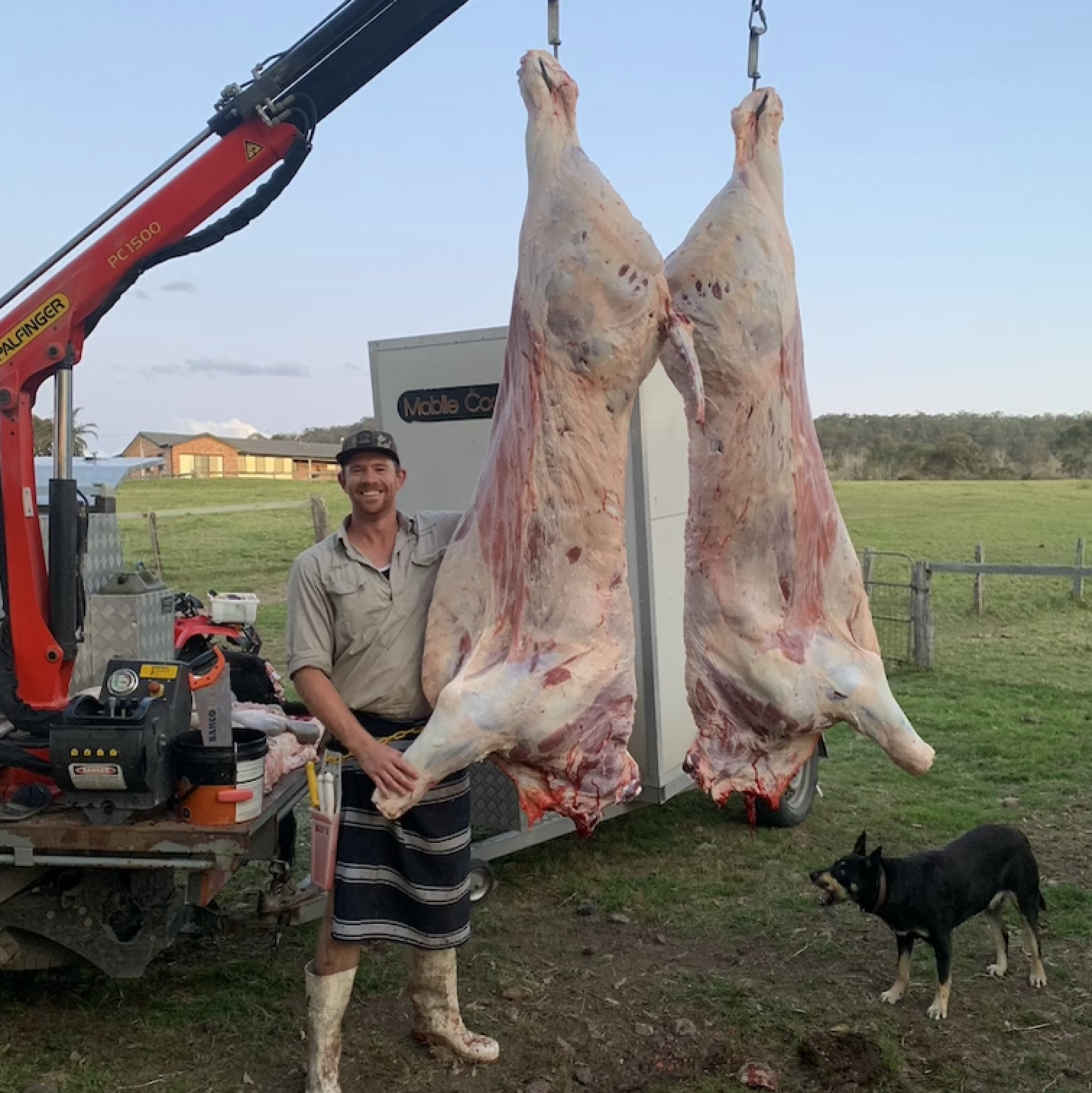 The mobile butcher: From paddock to produce and then to plate