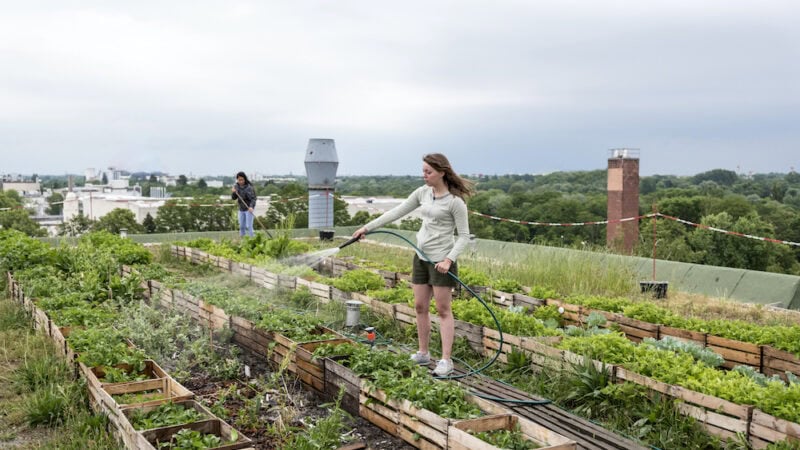 Is farming in the ‘burbs here to stay?