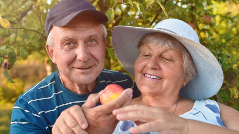 Ag workers wanted as spring approaches