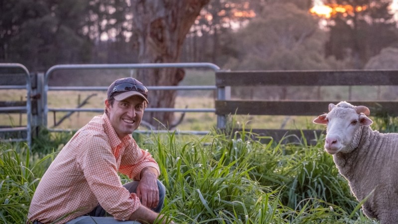 NSW home to Australian Farmer of the Year