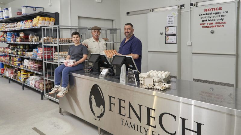 Meet the Fenech family from Sydney