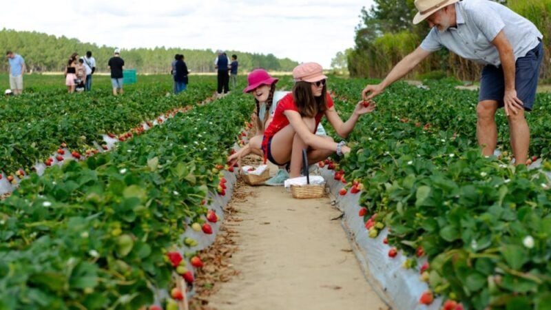 Red tape slashed for agritourism