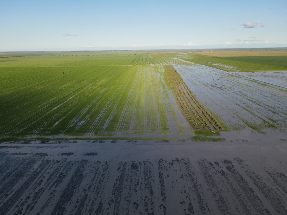 Flooding hits east coast grain crops