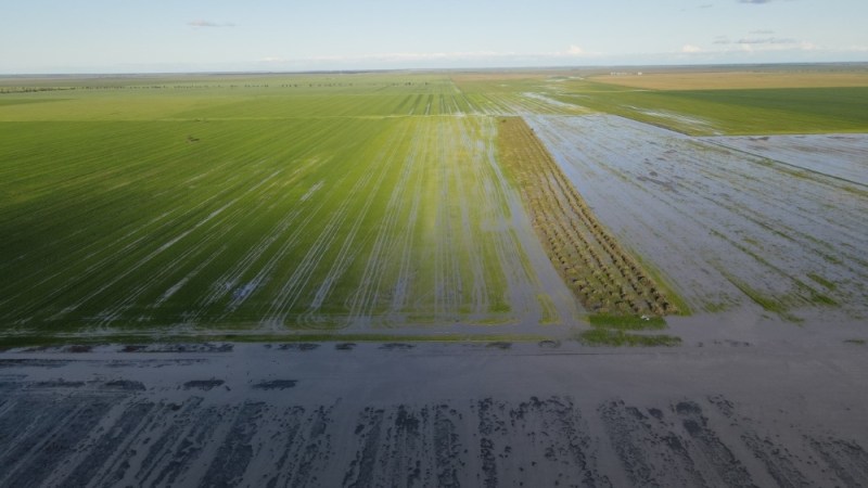 Flooding hits east coast grain crops