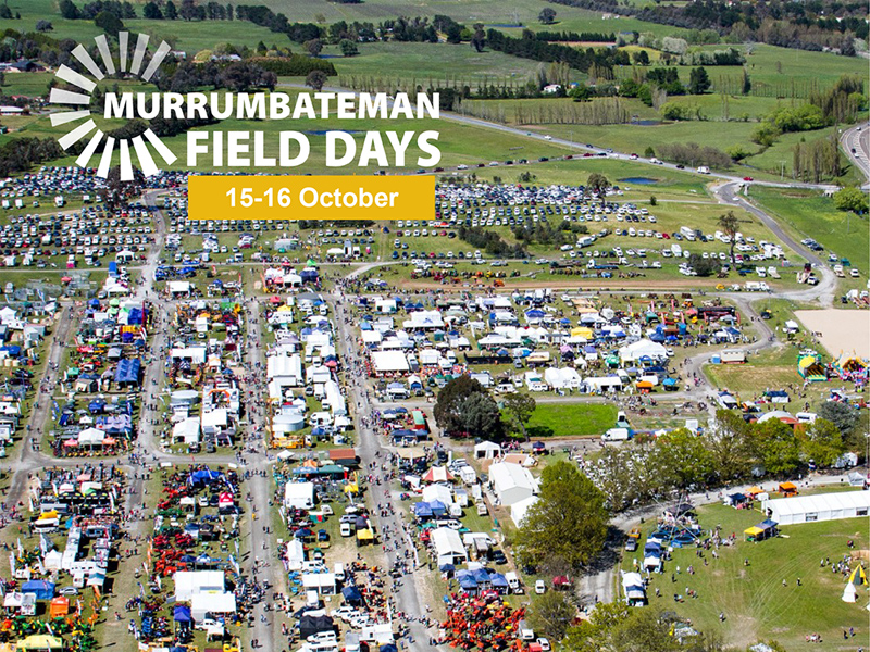 Field Days are back!