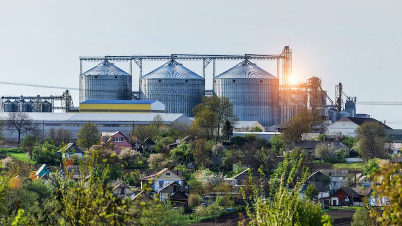 Ukraine’s farmers, and how they are surviving