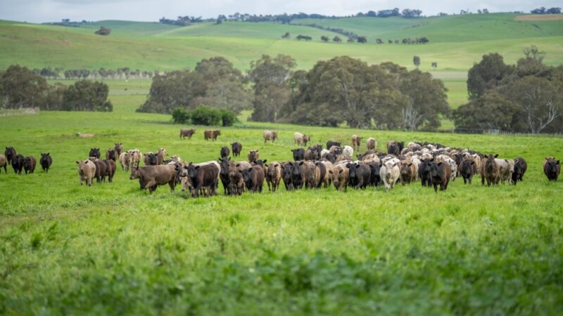 Lismore hosts biological farming expo