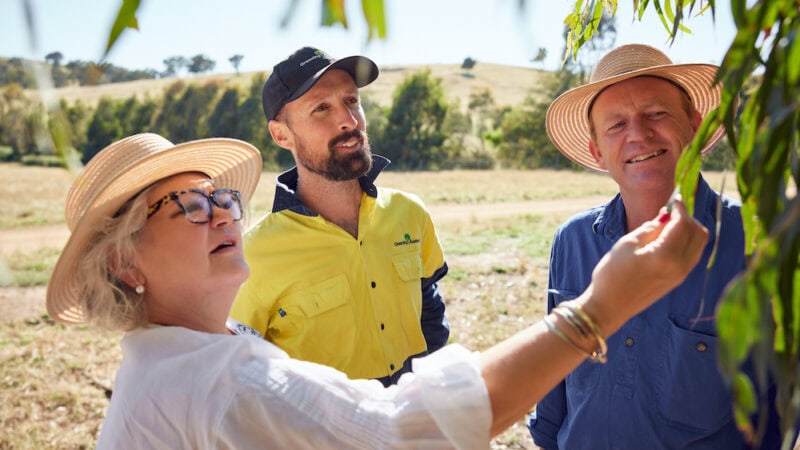 The ins and outs of carbon farming