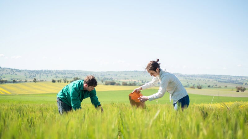 Soil health: the only way is up