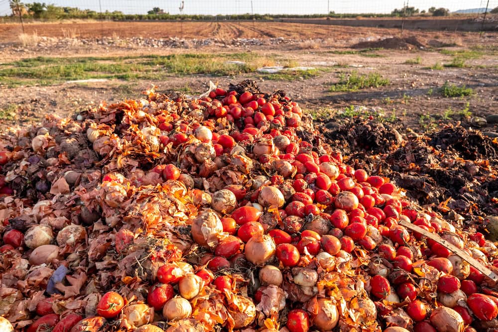 The fugly side of food waste