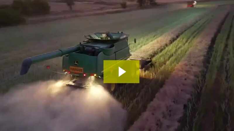 Zach’s new drone captures canola harvest