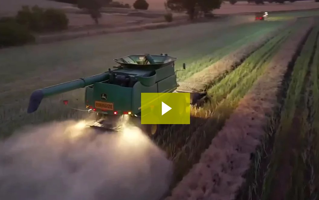 Zach’s new drone captures canola harvest