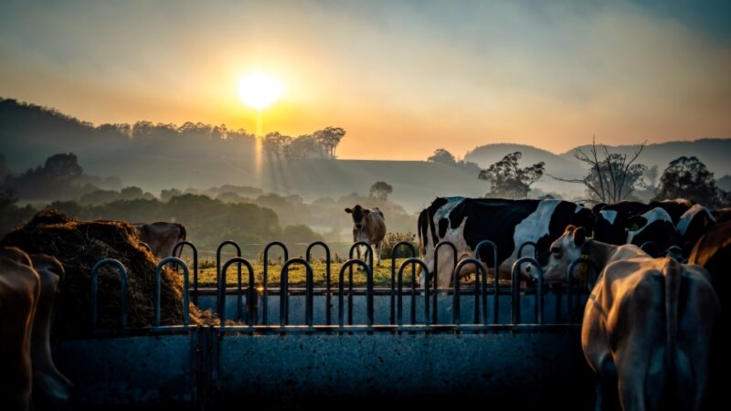 Pathways to reduce dairy farm energy costs