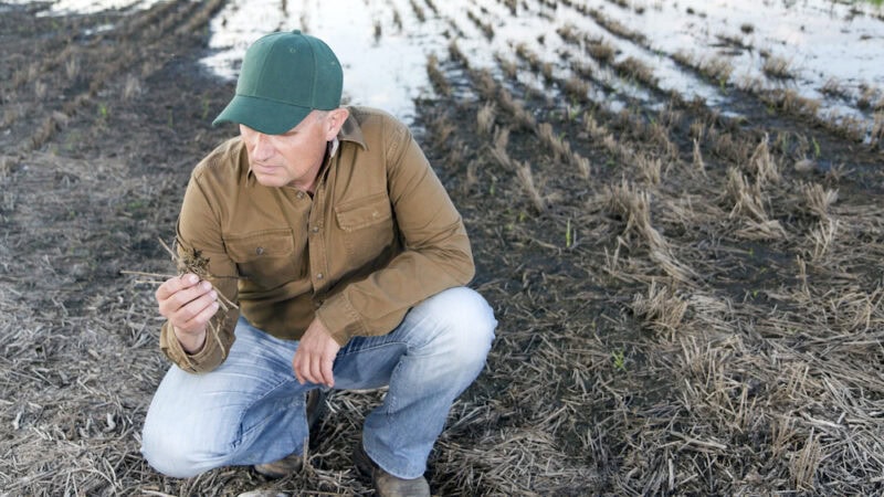 Floods test farmers’ mental wellbeing