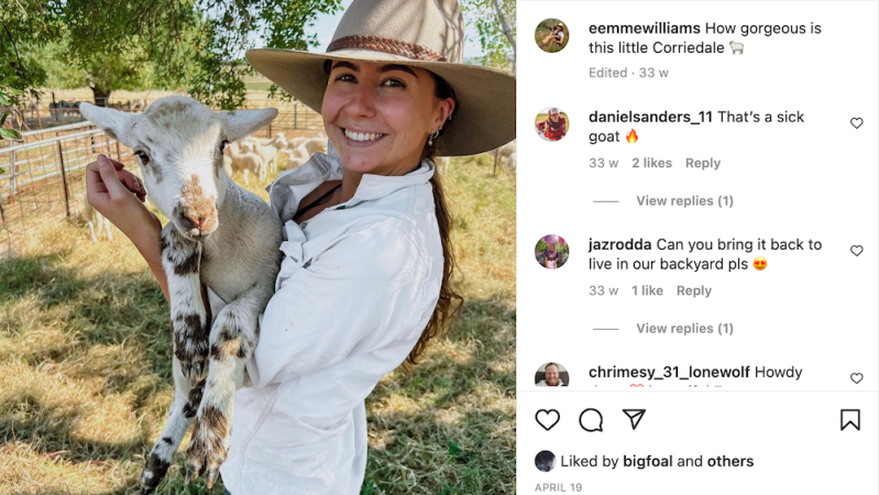 Farmers take their business to Instagram