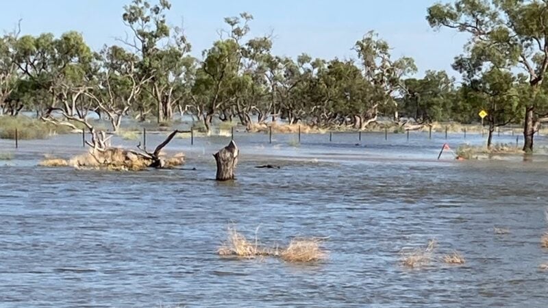 Record flood forecast for Menindee