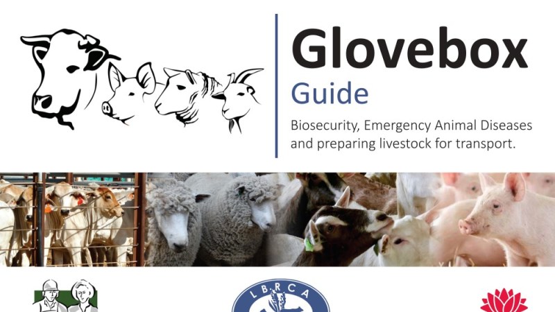 Biosecurity from the glovebox