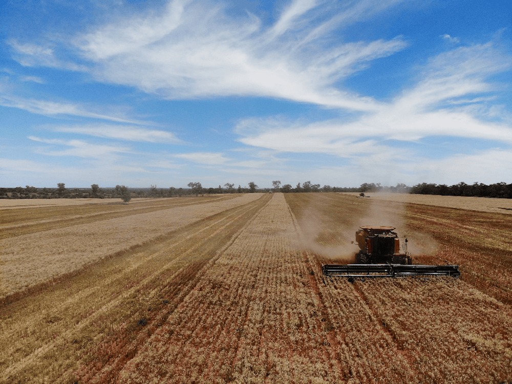 agriculture in schools