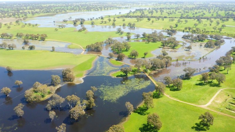 NSW government initiates major cuts in floodplain harvesting