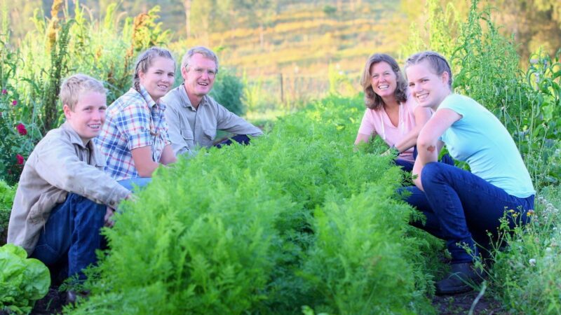 Farmers add income stream with camping