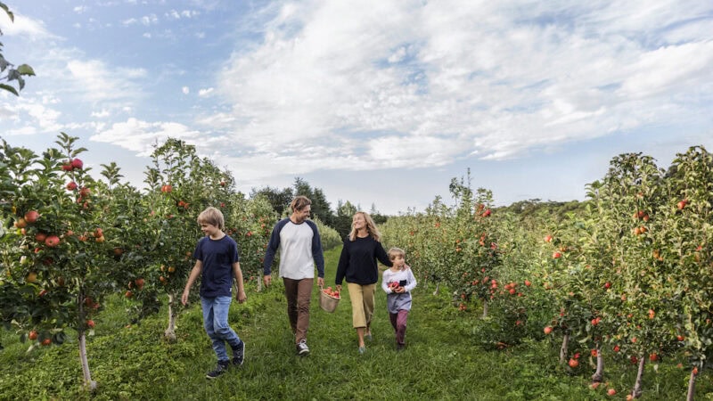 Produce trails and tales