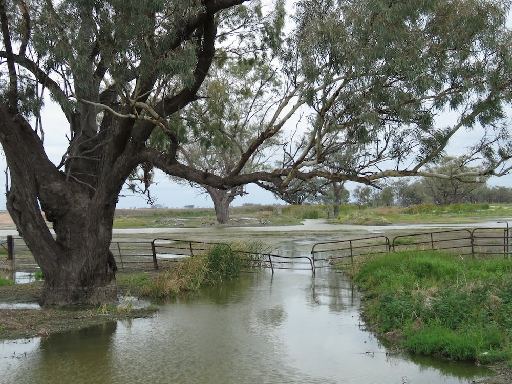 water management