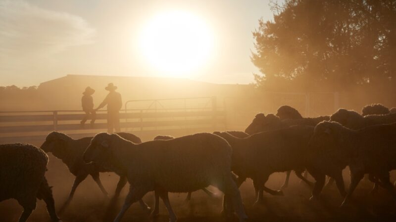 Pledge to bolster Farm Innovation Fund