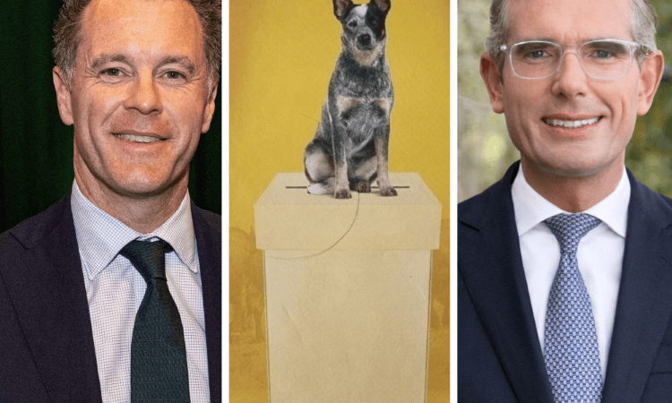 NSW state election could swing either way