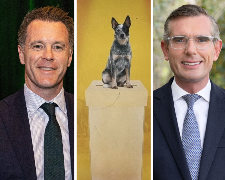 NSW state election could swing either way