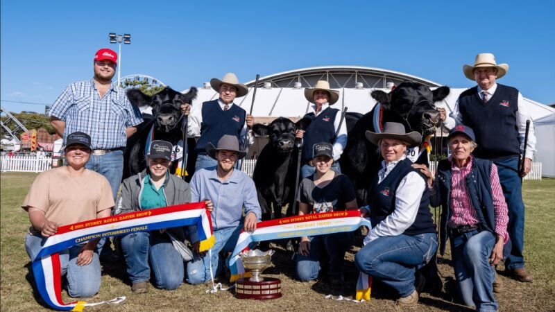 Food, fibre and farming champions shine at Royal Easter show