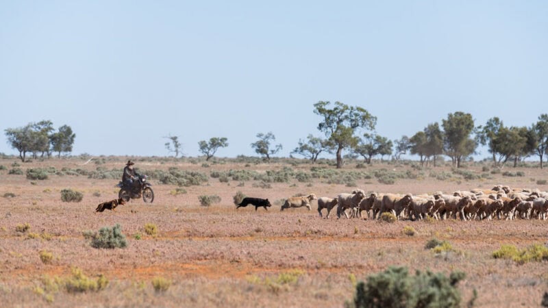 Co-investing in farm innovation