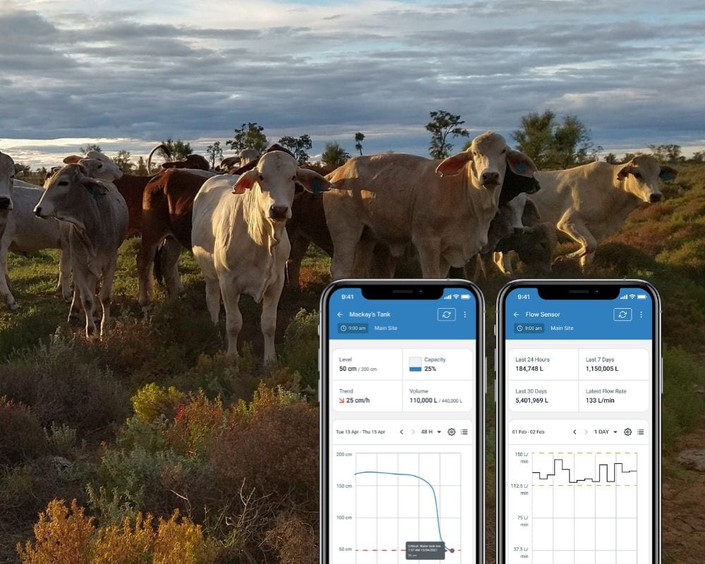 Changing Farm Management with Real-Time Data