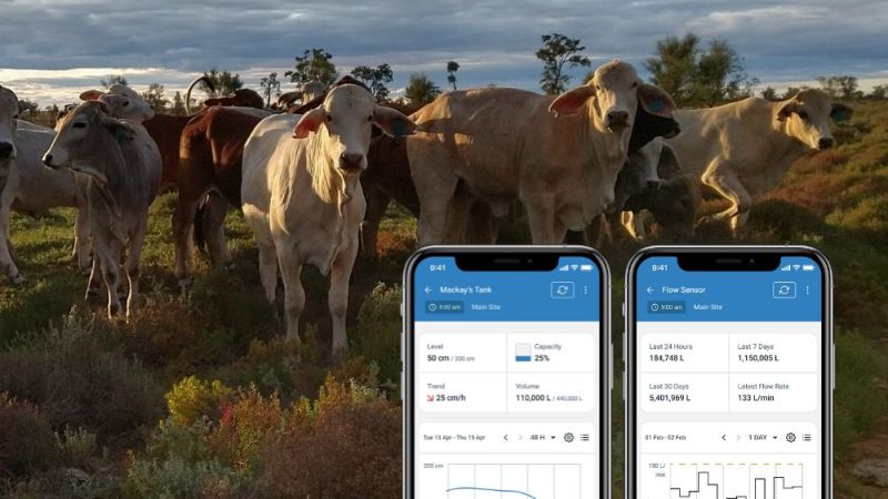 Changing Farm Management with Real-Time Data