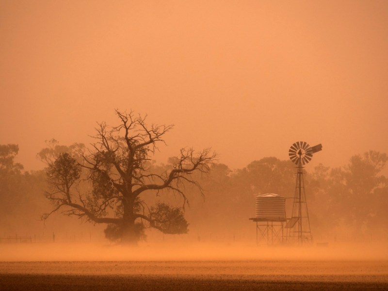 A dust storm driven by strong wind in the Central West.
