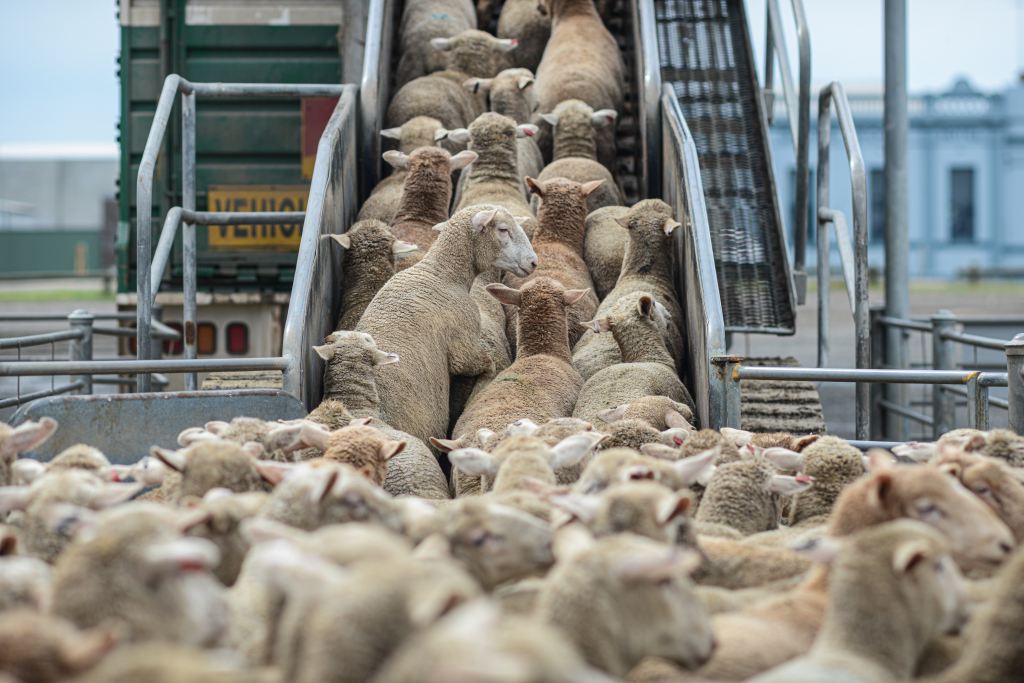 Farmers already pay dues at the saleyards