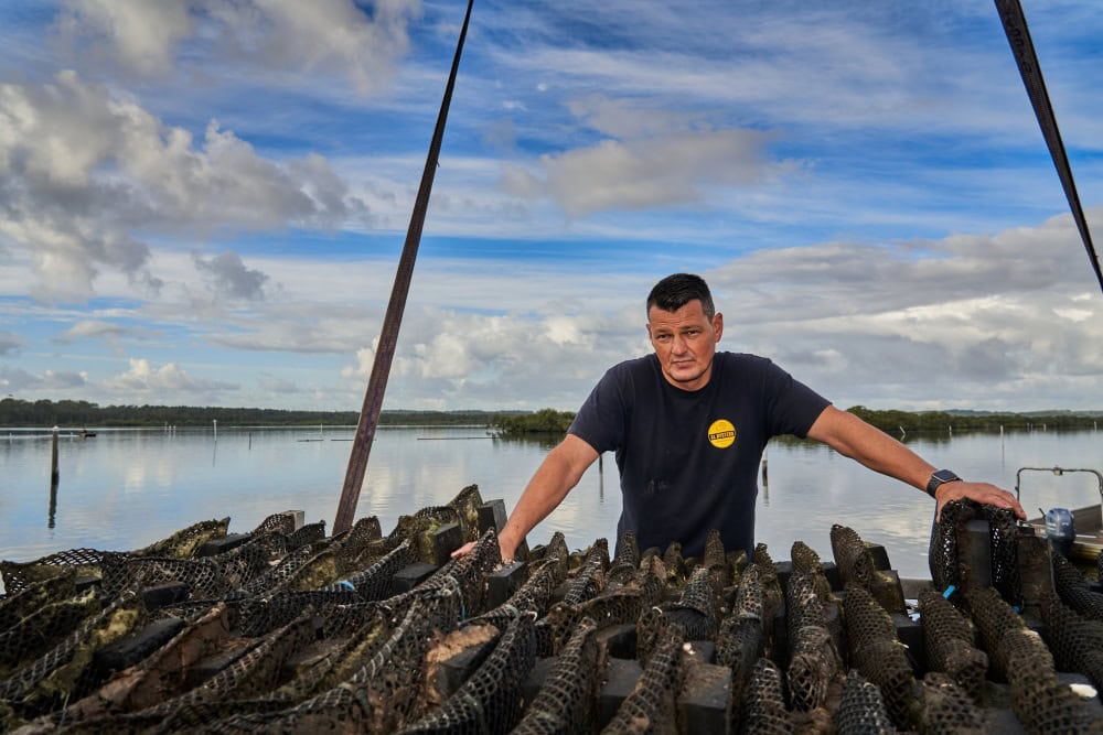 The future for Port Stephens oysters The Farmer Magazine