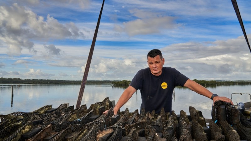 The future for Port Stephens oysters