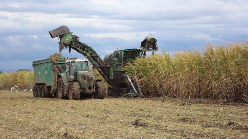 Sweet outlook for sugar prices