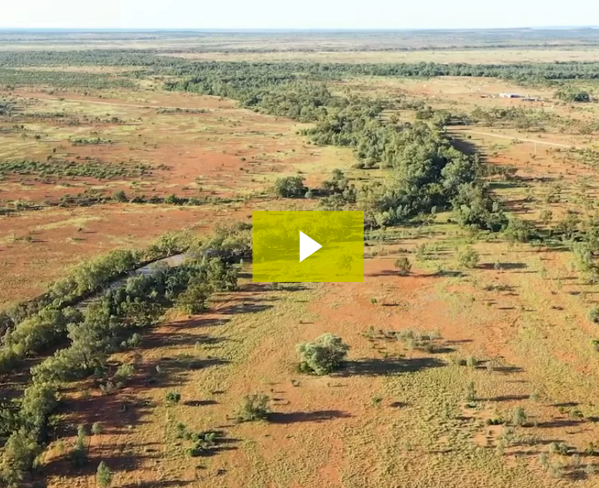 Outback landscape restoration