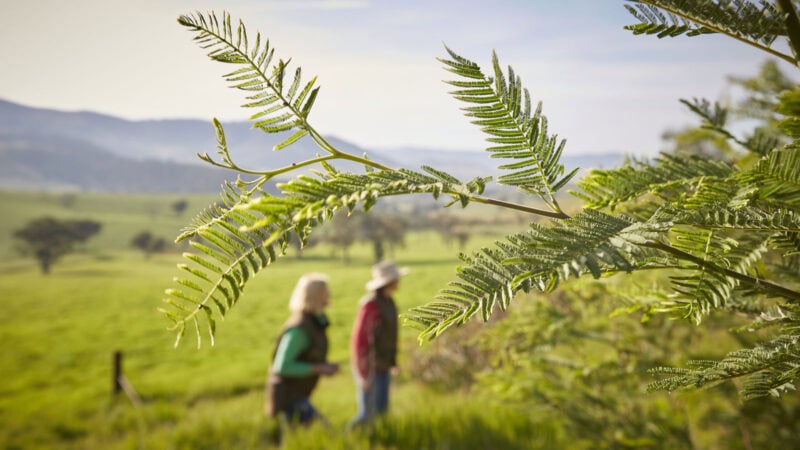 Green tick for Australian agriculture