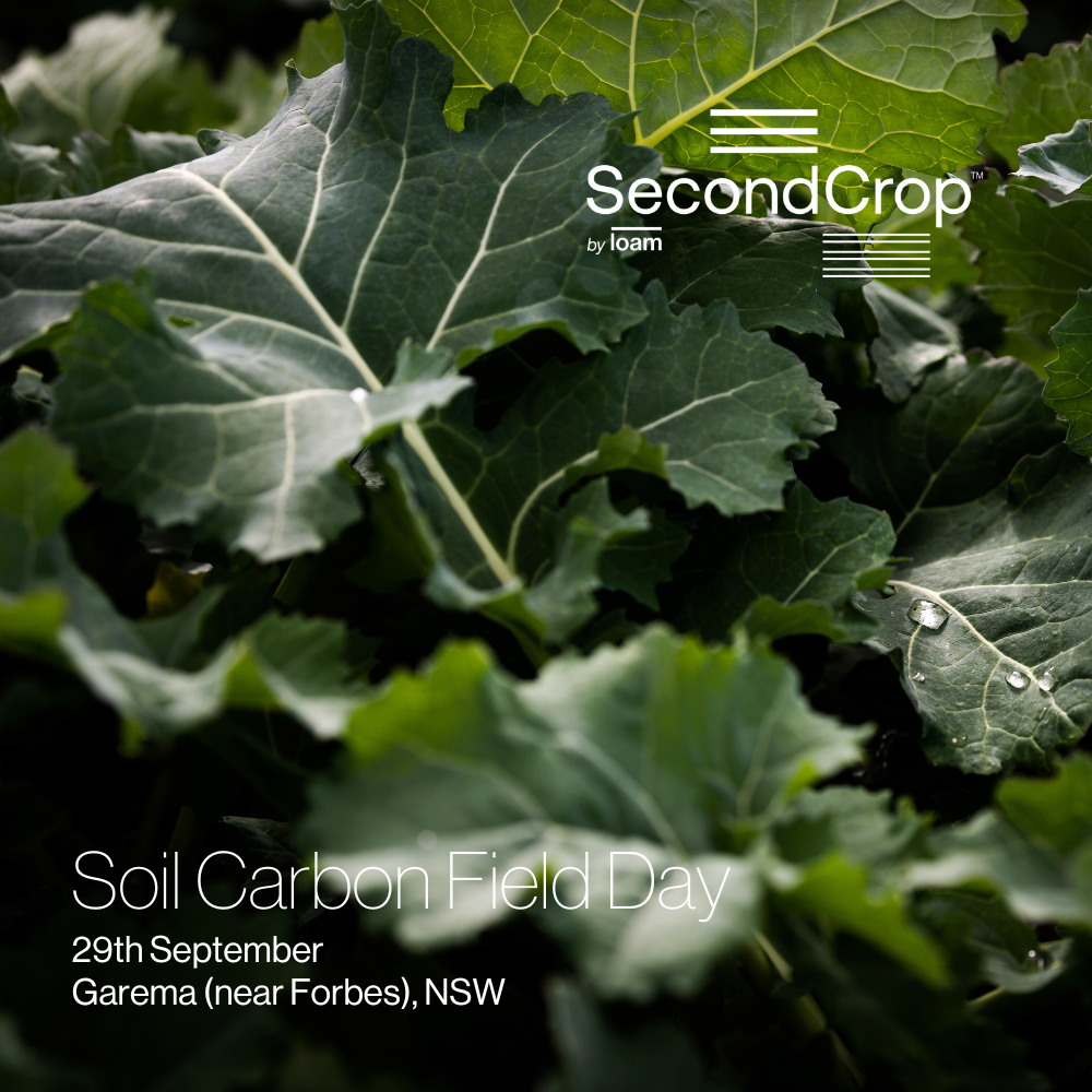 Building carbon in cropping soils