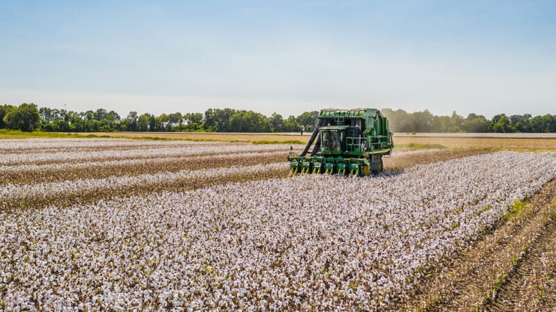 Ambitious water-saving plan approved for cotton industry