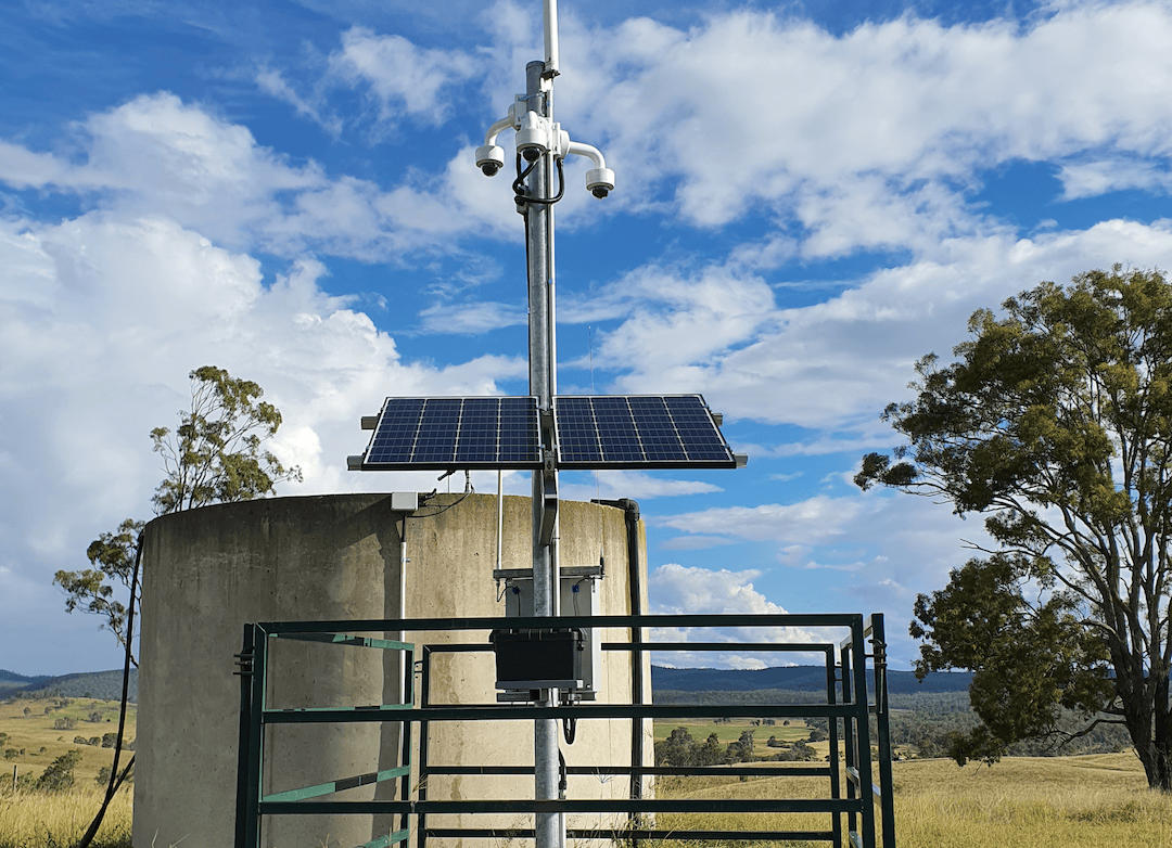 rural crime