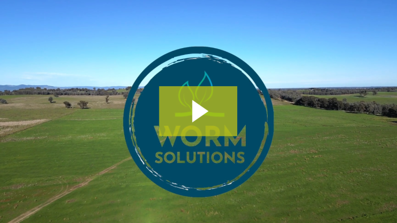 Worm Solutions & drones providing a solution for all 