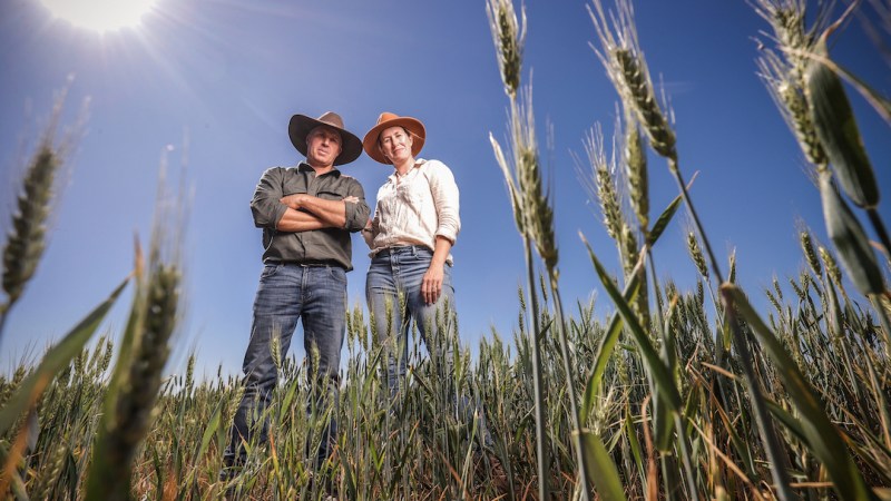 NSW Farmers joins campaign against anti-farming policies