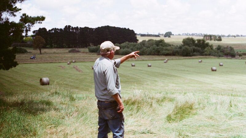 Innovation hubs will help NSW manage dry times