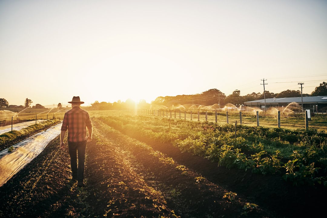 anti-farming policies